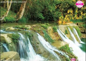 Madein-Mycountry-Latin-America