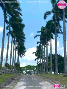 Madein-Mycountry-Latin-America